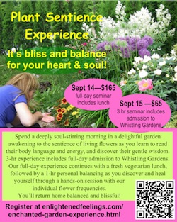 Plant Sentience Experience--bliss and balance for your heart and soul