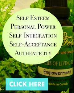 Click HERE to view our collection of Self Empowerment Essences