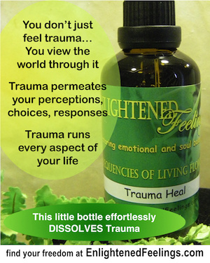 You don't just feel trauma. You view the world through it. Trauma permeates your perceptions, choices, responses. Trauma runs every aspect of your life